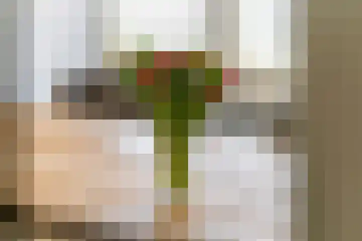 Jacob Cremerstraat 4 Tiel thumbnail 16