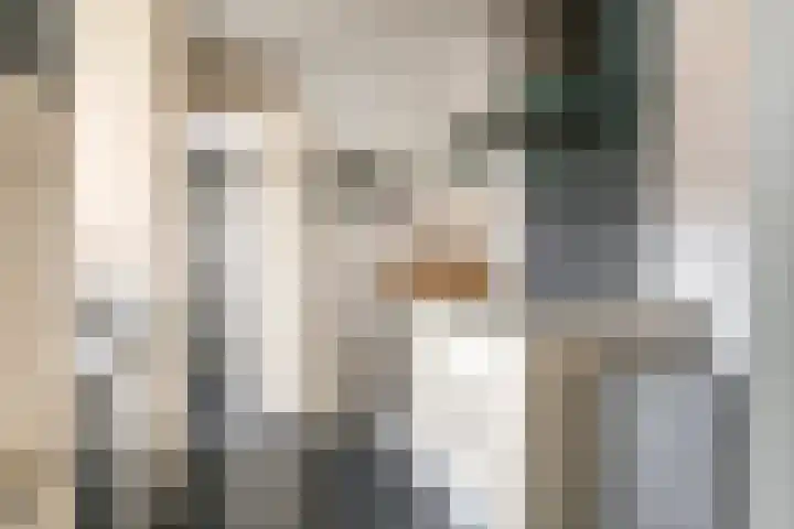 Jacob Cremerstraat 4 Tiel thumbnail 17
