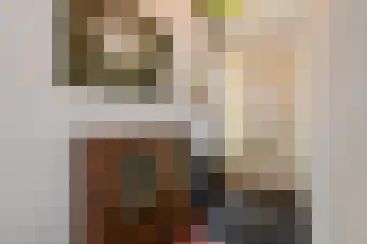 Jacob Cremerstraat 4 Tiel thumbnail 30