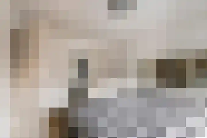 Jacob Cremerstraat 4 Tiel thumbnail 36