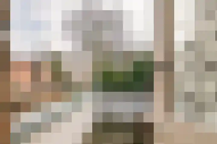 Jacob Cremerstraat 4 Tiel thumbnail 37