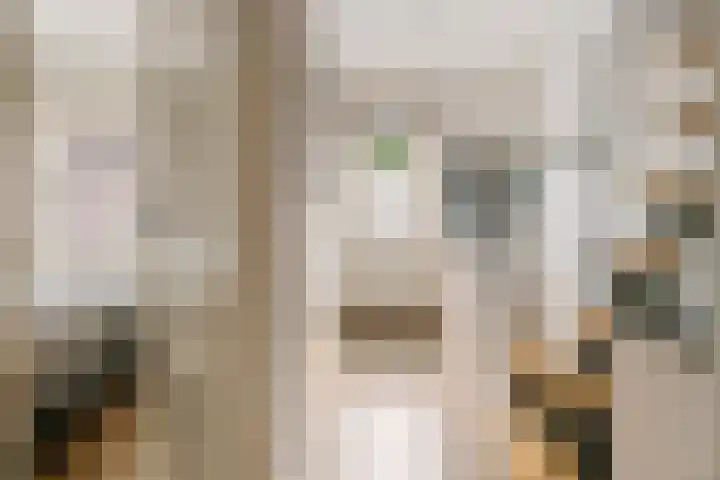 Jacob Cremerstraat 4 Tiel thumbnail 38
