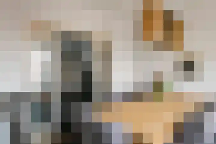 Jacob Cremerstraat 4 Tiel thumbnail 4