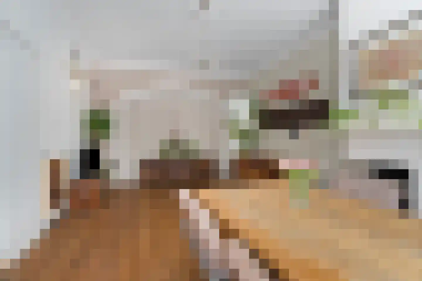 Jacob Cremerstraat 63 Arnhem thumbnail 6