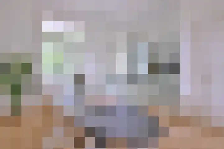 Jacob Damsingel 16 Zutphen thumbnail 10