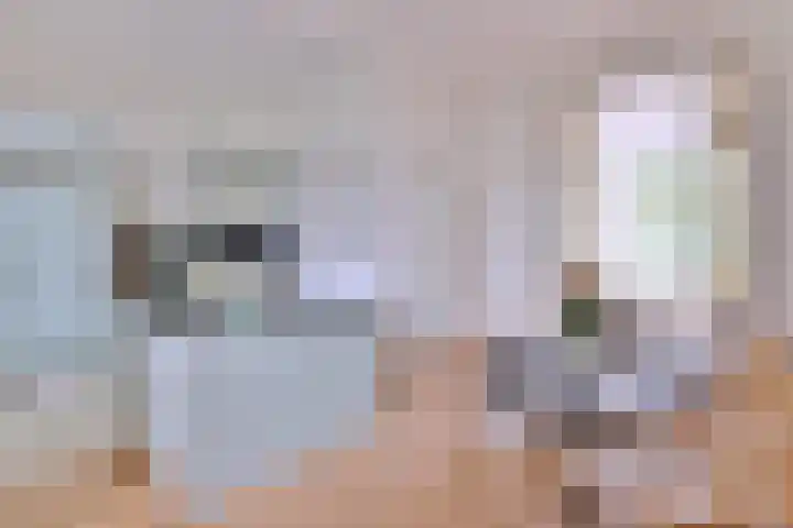 Jacob Damsingel 16 Zutphen thumbnail 11