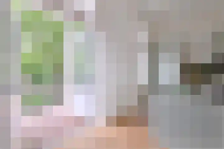 Jacob Damsingel 16 Zutphen thumbnail 12