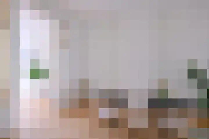 Jacob Damsingel 16 Zutphen thumbnail 17