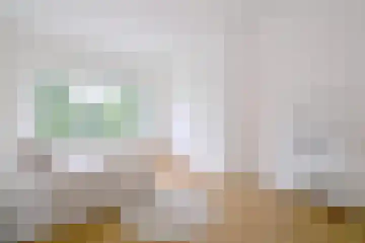Jacob Damsingel 16 Zutphen thumbnail 23
