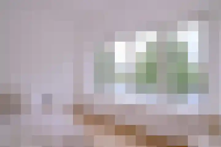 Jacob Damsingel 16 Zutphen thumbnail 24
