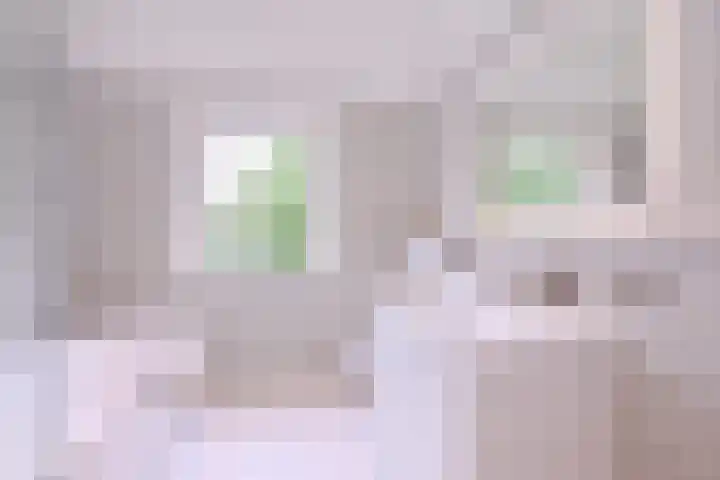 Jacob Damsingel 16 Zutphen thumbnail 27