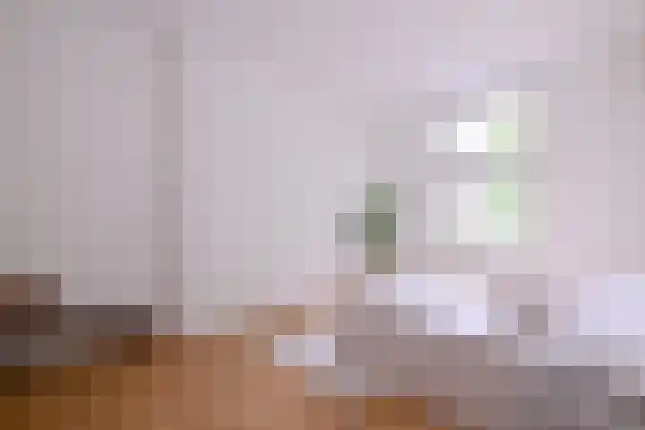 Jacob Damsingel 16 Zutphen thumbnail 28