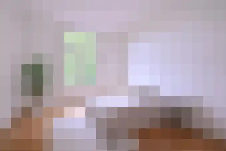 Jacob Damsingel 16 Zutphen thumbnail 29