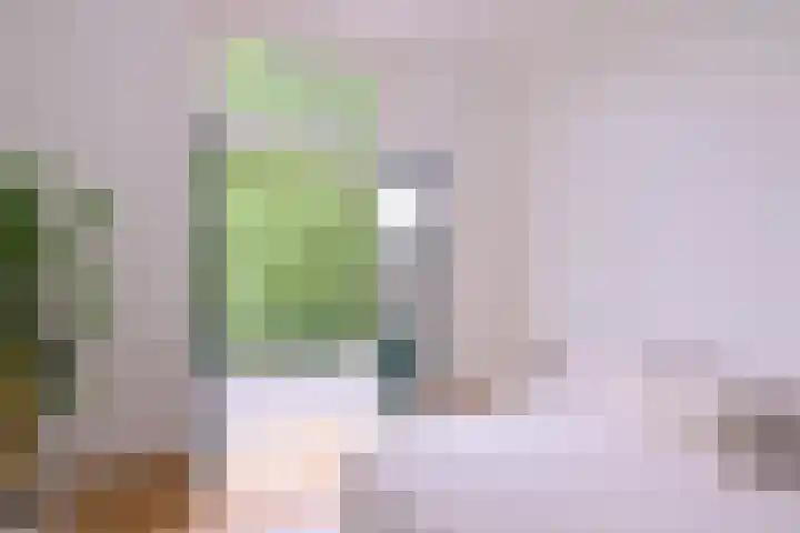 Jacob Damsingel 16 Zutphen thumbnail 30