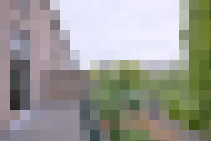 Jacob Damsingel 16 Zutphen thumbnail 31