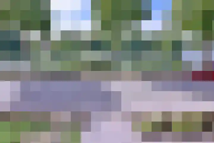 Jacob Damsingel 16 Zutphen thumbnail 4