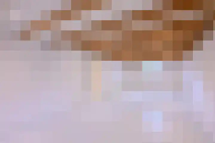 Jacob Damsingel 16 Zutphen thumbnail 41