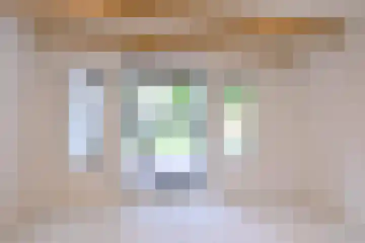 Jacob Damsingel 16 Zutphen thumbnail 43
