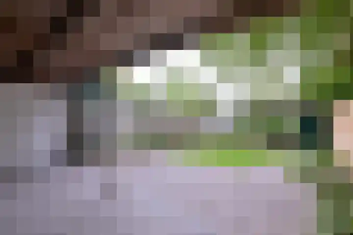 Jacob Damsingel 16 Zutphen thumbnail 44