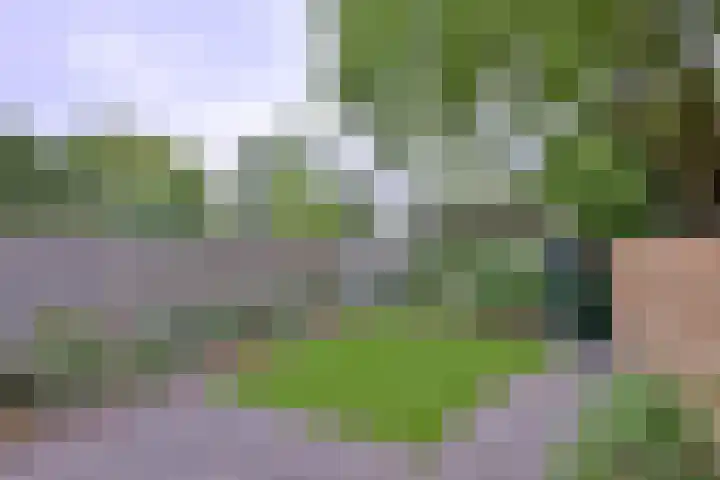 Jacob Damsingel 16 Zutphen thumbnail 45
