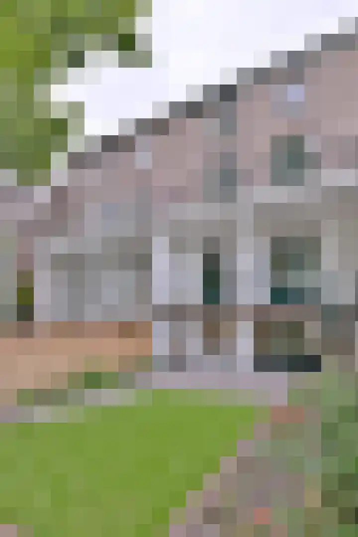Jacob Damsingel 16 Zutphen thumbnail 46
