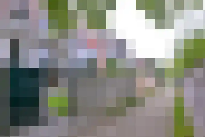 Jacob Damsingel 16 Zutphen thumbnail 47