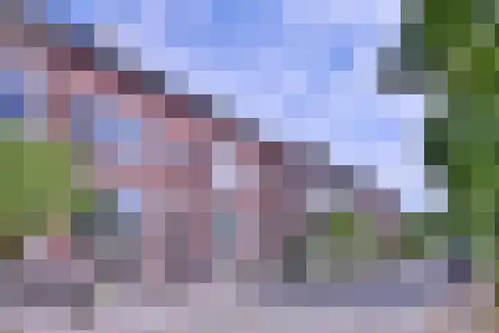 Jacob Damsingel 16 Zutphen thumbnail 48