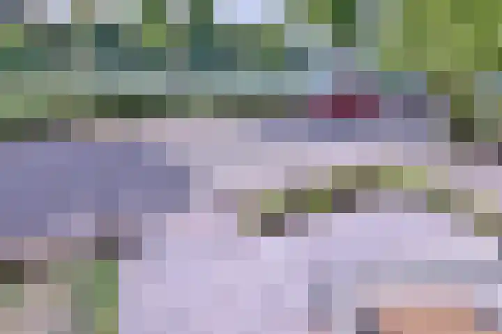 Jacob Damsingel 16 Zutphen thumbnail 49