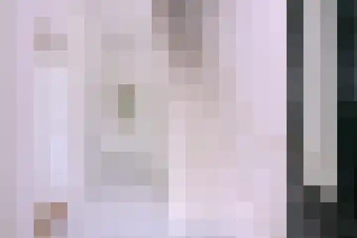 Jacob Damsingel 16 Zutphen thumbnail 6