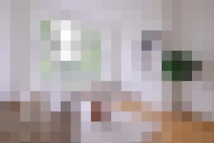 Jacob Damsingel 16 Zutphen thumbnail 7