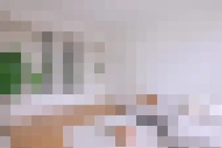Jacob Damsingel 16 Zutphen thumbnail 8