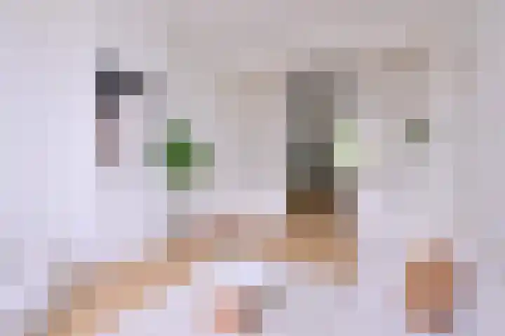 Jacob Damsingel 16 Zutphen thumbnail 9