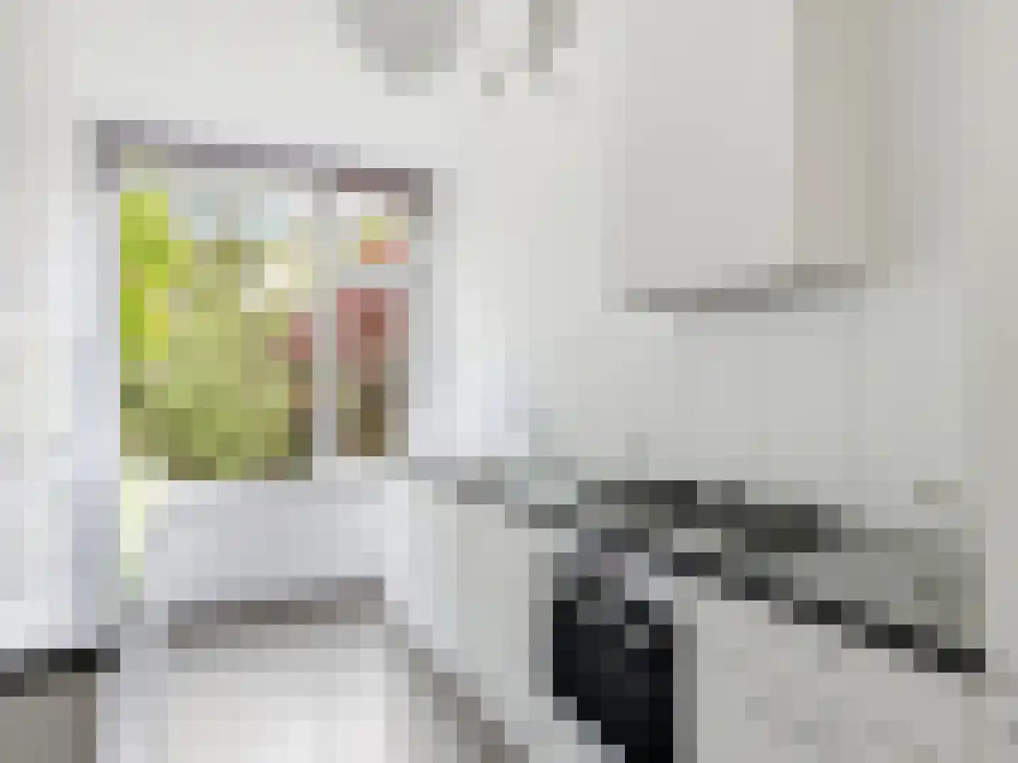 Jacob Damsingel 30 Zutphen thumbnail 15