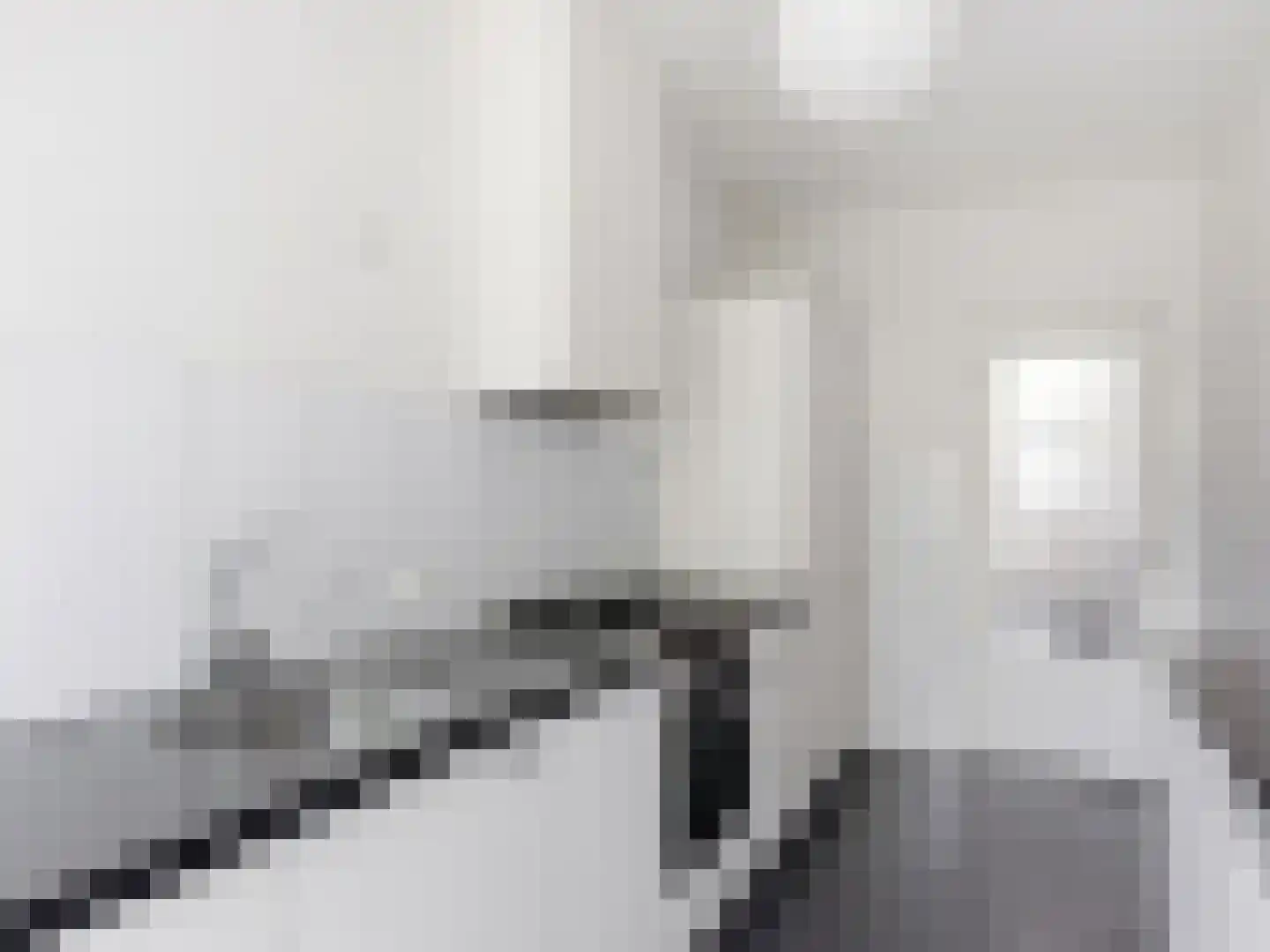 Jacob Damsingel 30 Zutphen thumbnail 16
