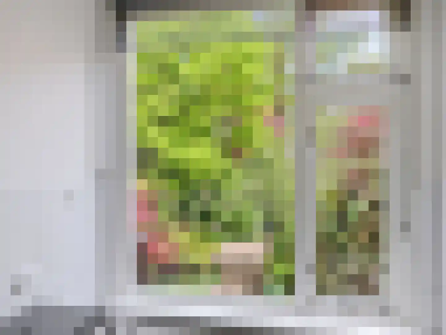 Jacob Damsingel 30 Zutphen thumbnail 17