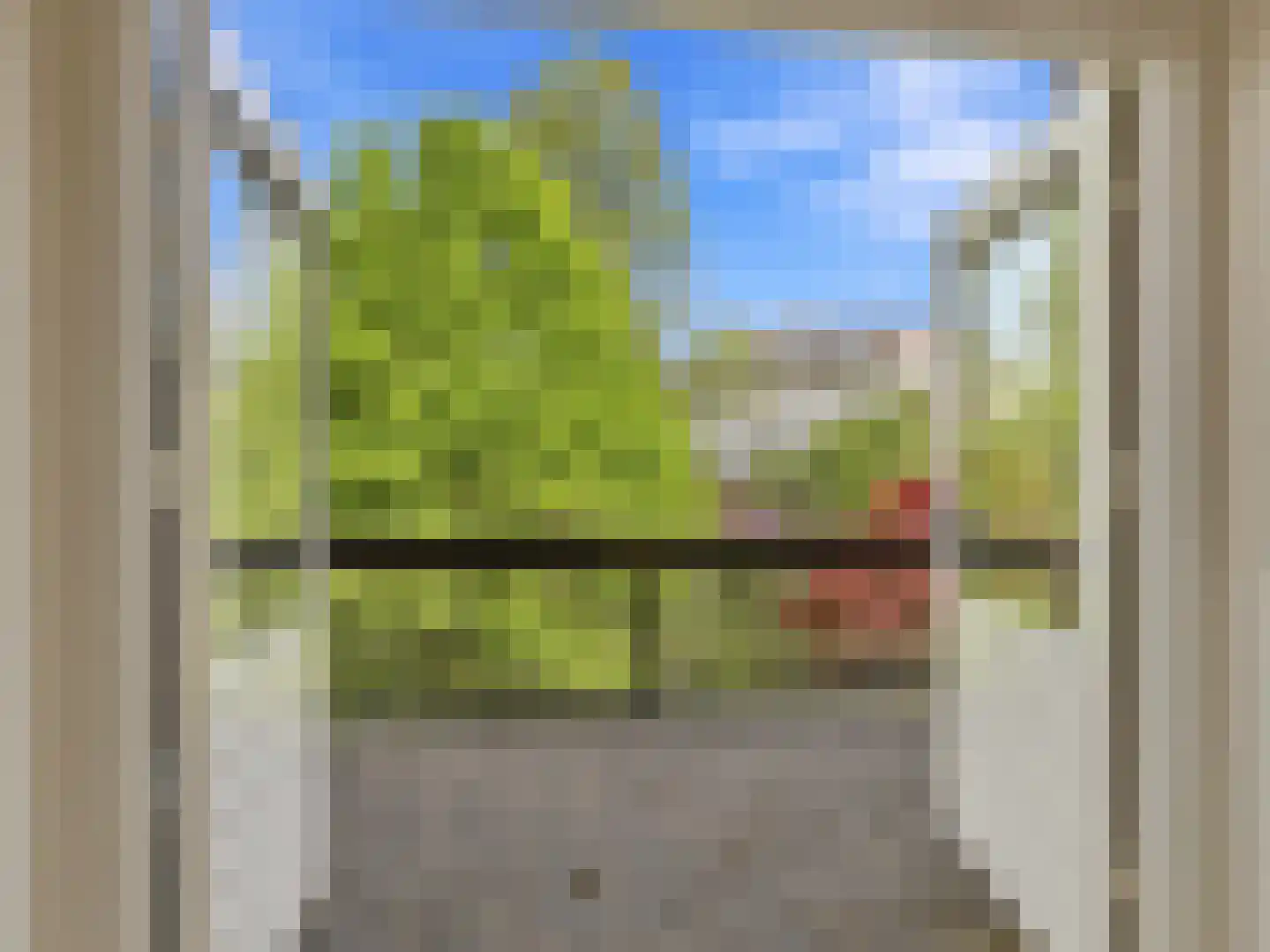 Jacob Damsingel 30 Zutphen thumbnail 21