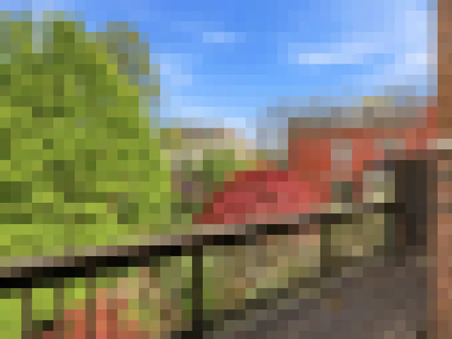 Jacob Damsingel 30 Zutphen thumbnail 22