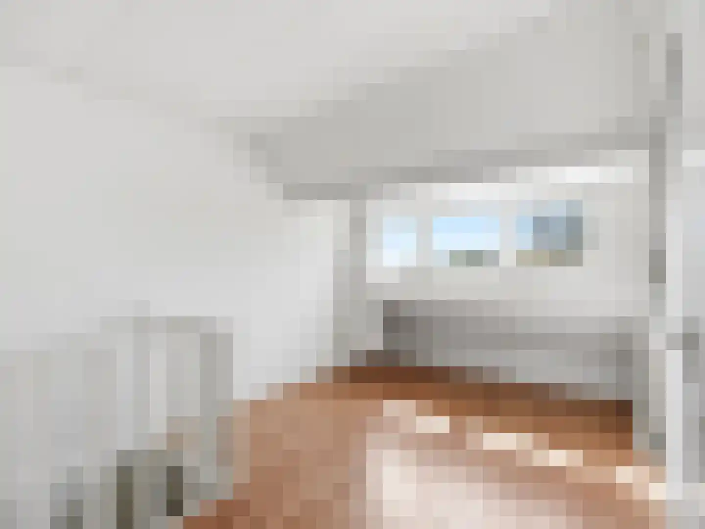 Jacob Damsingel 30 Zutphen thumbnail 28