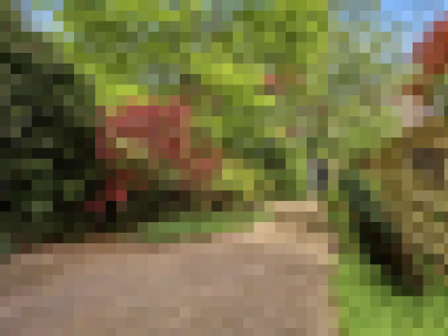 Jacob Damsingel 30 Zutphen thumbnail 36