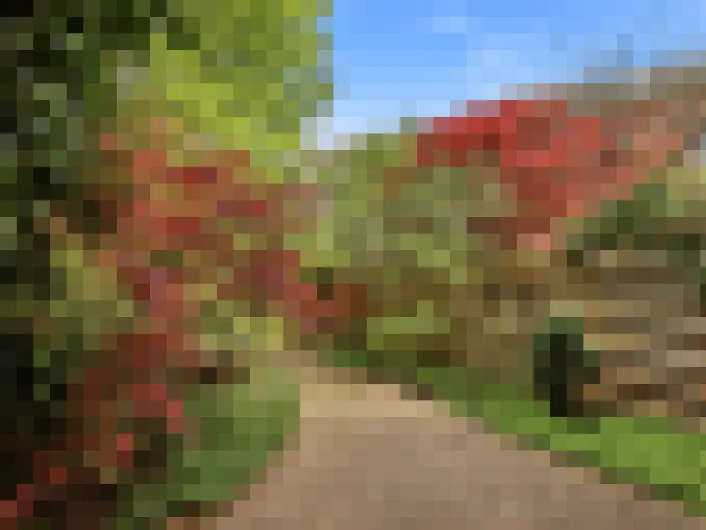 Jacob Damsingel 30 Zutphen thumbnail 37