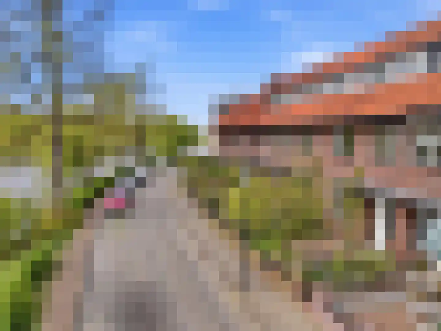 Jacob Damsingel 30 Zutphen thumbnail 43