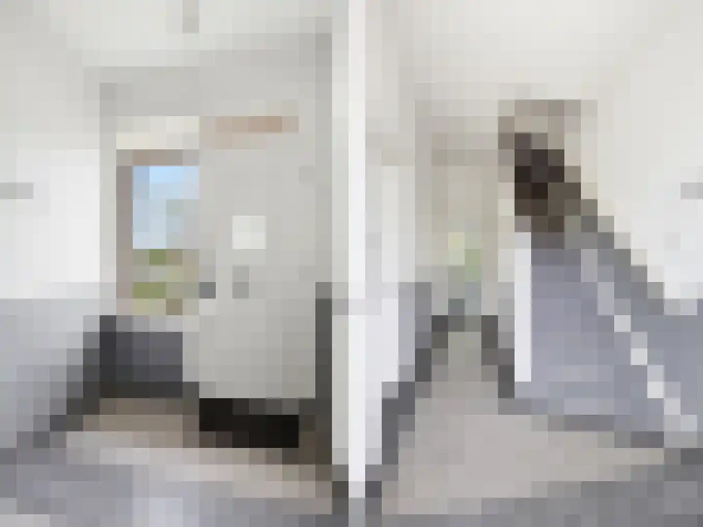 Jacob Damsingel 30 Zutphen thumbnail 5
