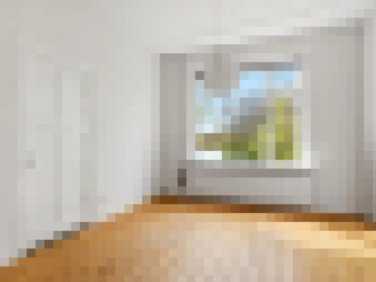 Jacob Damsingel 30 Zutphen thumbnail 7