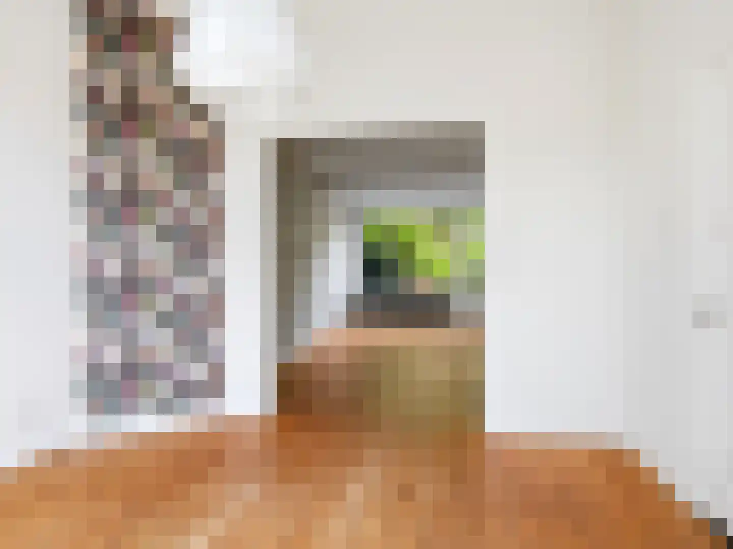 Jacob Damsingel 30 Zutphen thumbnail 8