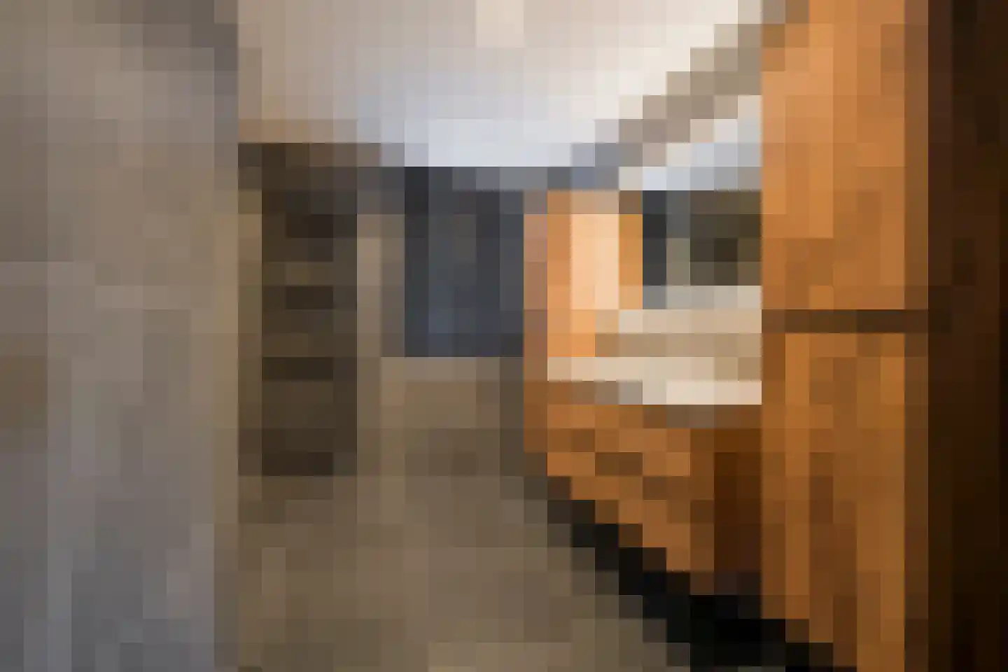 Jacob de Boerweg 21 Nijkerkerveen thumbnail 22