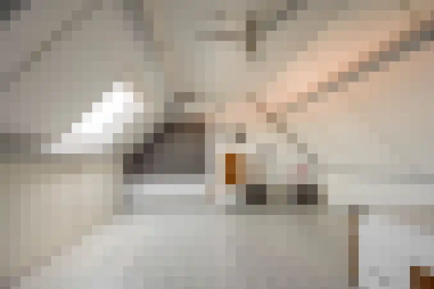 Jacob de Boerweg 21 Nijkerkerveen thumbnail 28