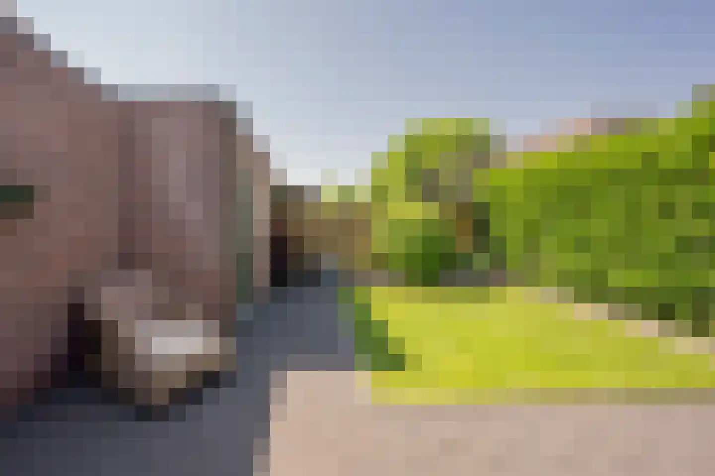Jacob de Boerweg 21 Nijkerkerveen thumbnail 32