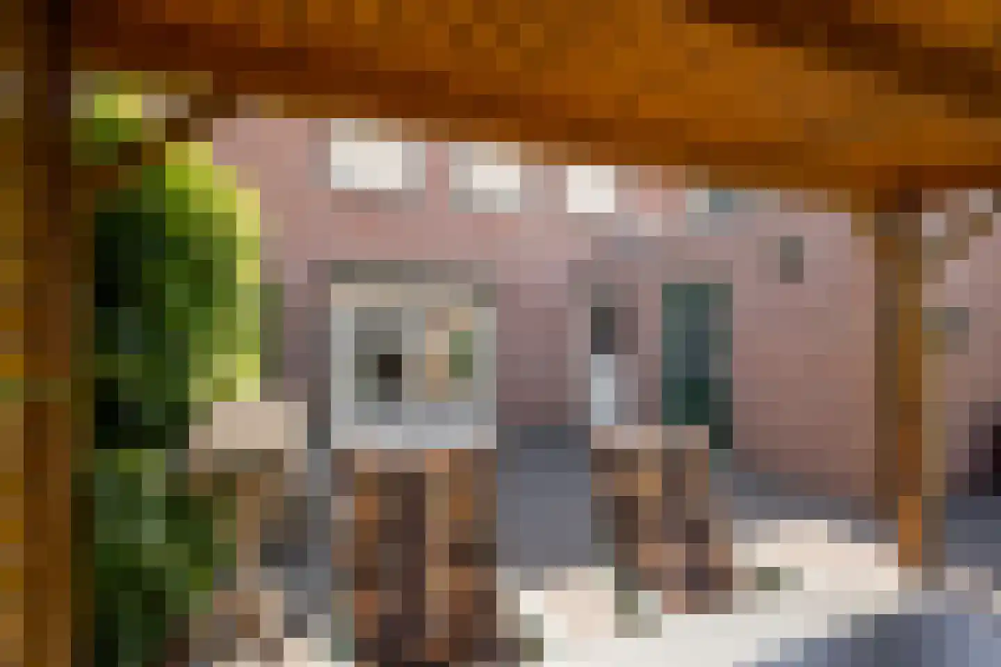 Jacob de Boerweg 21 Nijkerkerveen thumbnail 35
