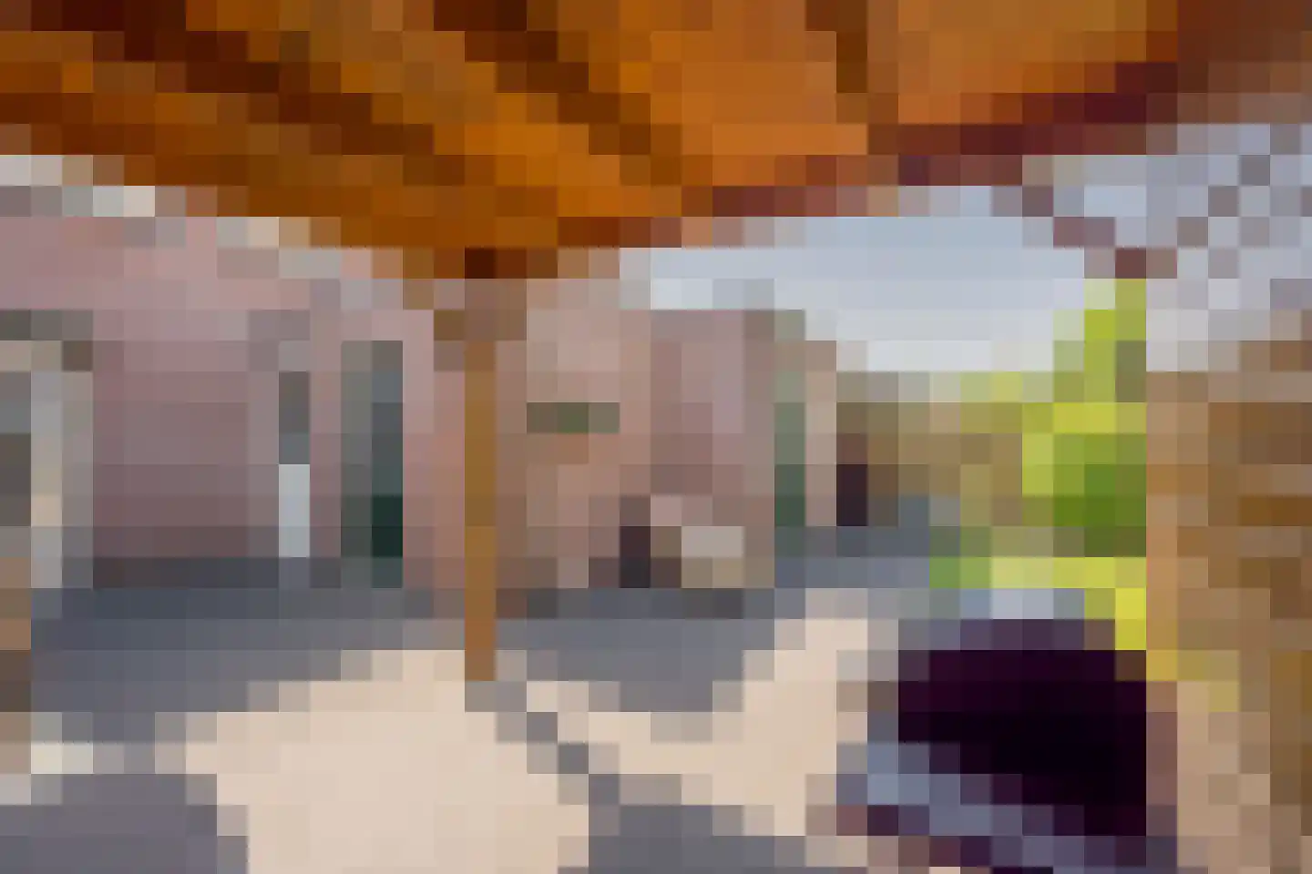 Jacob de Boerweg 21 Nijkerkerveen thumbnail 36