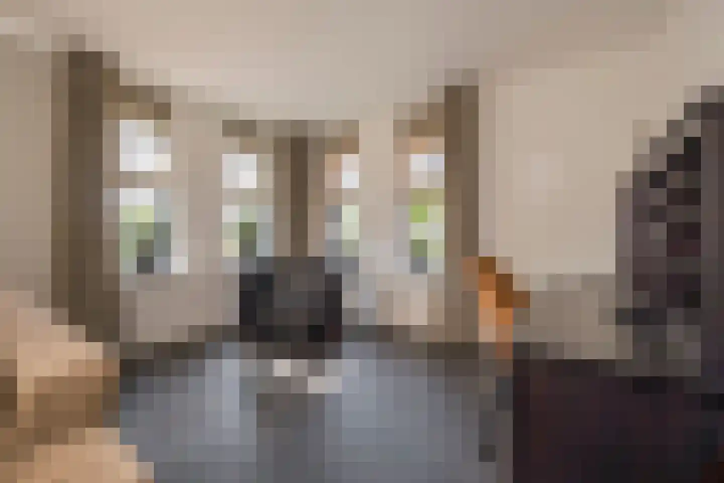Jacob de Boerweg 21 Nijkerkerveen thumbnail 5